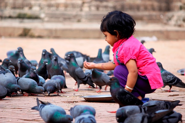 Girl with pigeons in Patan