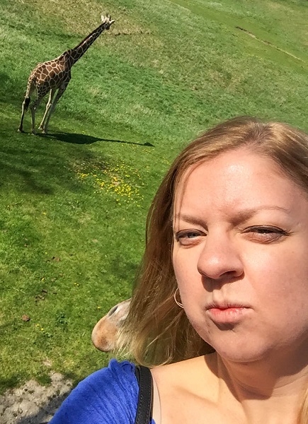two giraffe selfie