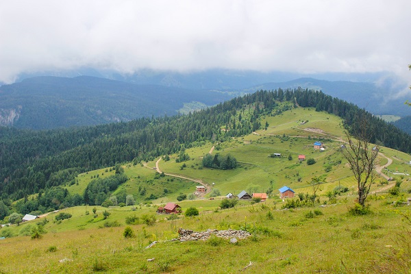 village view