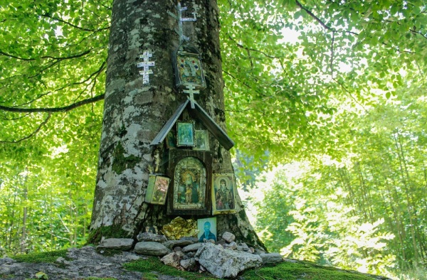 tree shrine
